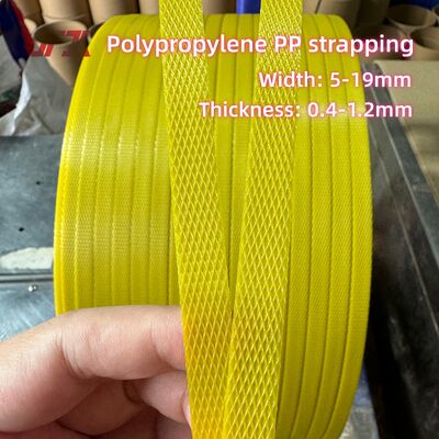 5-19mm Width PP Packing Belt with 60-300kgf Tensile Strength for Carton Packing