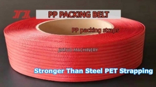 5-19mm PP Packaging belt